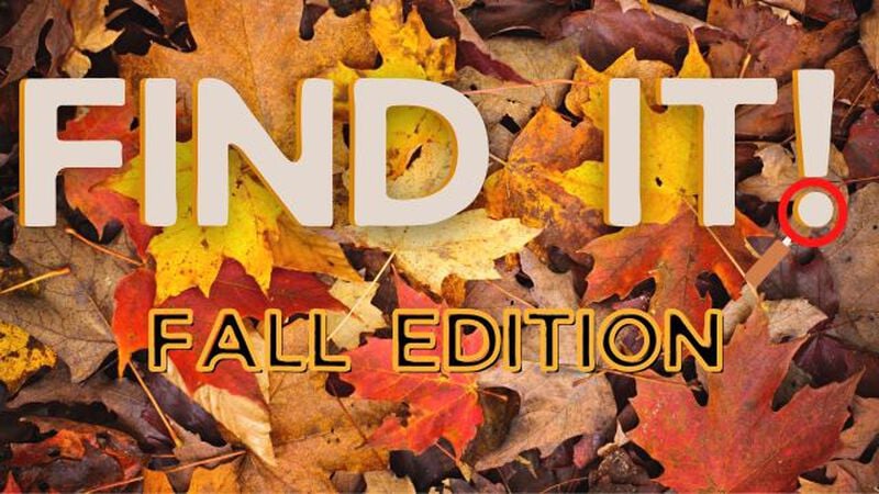 Find It! Fall Edition
